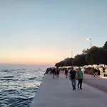 Roza Zadar