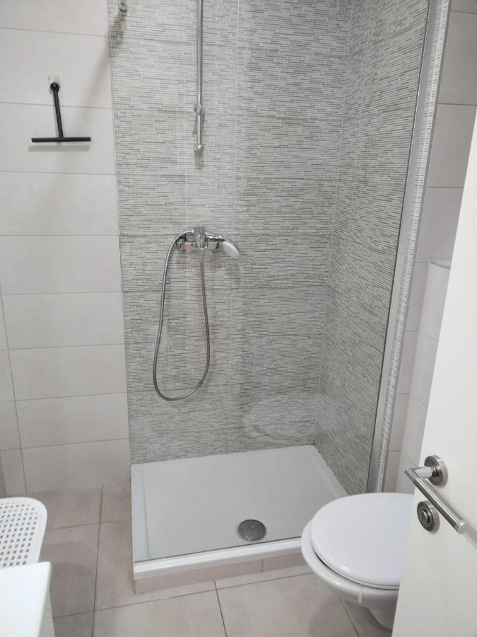 Apartment Roza